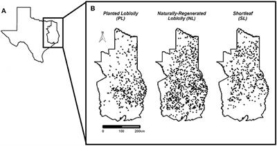 Southern Pines Are Resistant to Mortality From an Exceptional Drought in East Texas